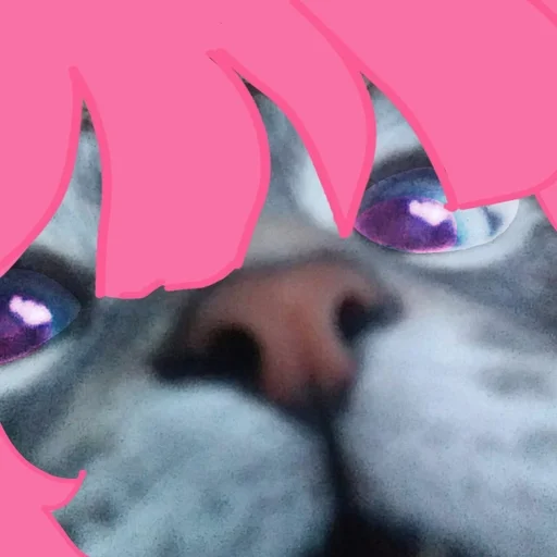 домашнее животное млекопитающее собака