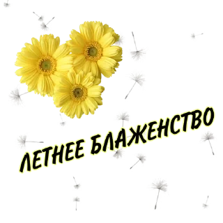 Стикер Yana_party2 - 8