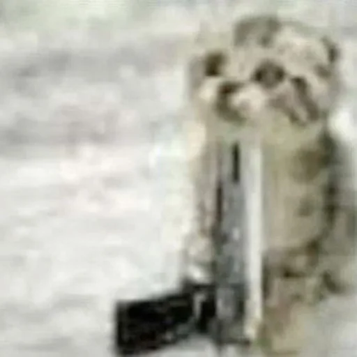 бляtь. @ttrsmsk - 