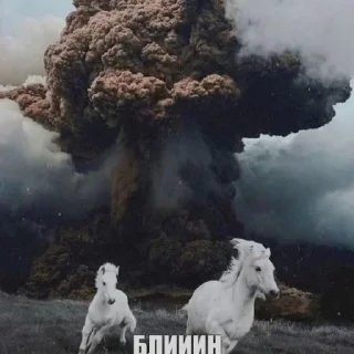 Стикер бляtь. @ttrsmsk - 7