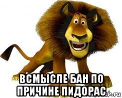 СМС обезьяна мультфильм