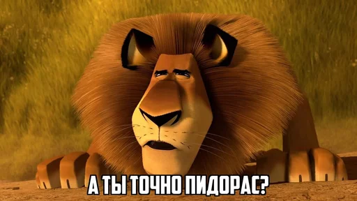 животное млекопитающее лев