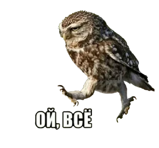 Sticker Ярче - 11