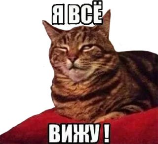 Sticker Ярче - 2