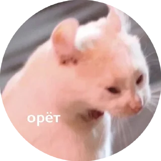 Sticker Ярче - 10