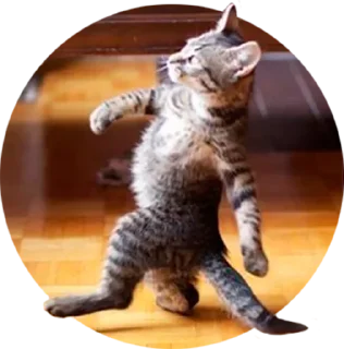 Sticker Ярче - 6