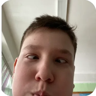 Sticker ярик лох - 2