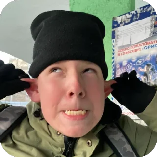 Sticker ярик лох - 8