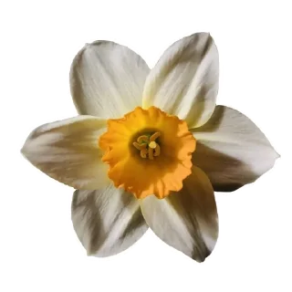 Стикер genius - 2