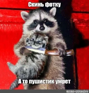 Стикер Стечняшкк - 6