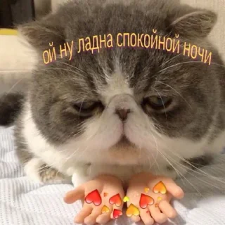 Стикер Стечняшкк - 1