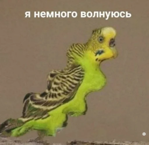 Стикер Стечняшкк - 3