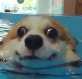 Стикер Yashiro - 9