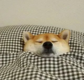 Стикер Yashiro - 0