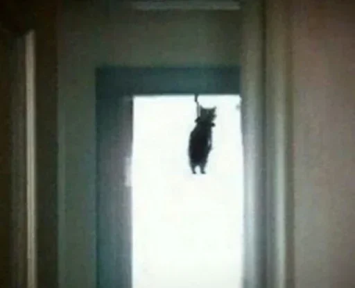 Стикер YcRUSWS_by_achestickbot - 1