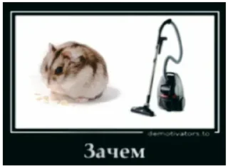 Sticker Больше стиков тут: @stikery4 - 6