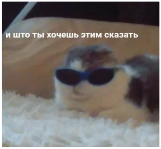 goggles eyewear sunglasses