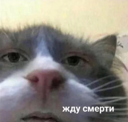 Sticker YeduVMagadan - 1