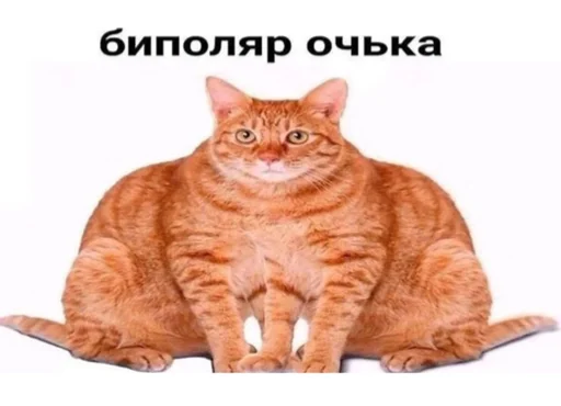 Стикер YeduVMagadan - 1