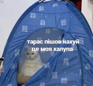 Стикер Шуткі - 2