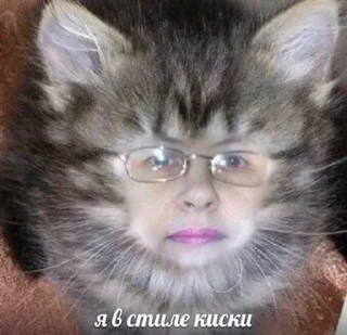 Стикер Шуткі - 11