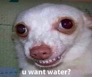 Стикер Шуткі - 8