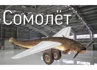 Стикер Шуткі - 10