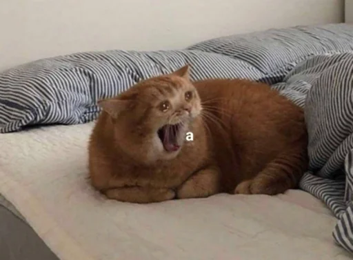 Sticker Yeeeeeeeeeeeeeeeeep - 1