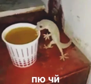 Стикер Pickchi - 0