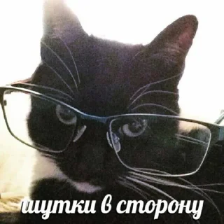 Стикер Pickchi - 7