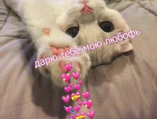 Стикер Pickchi - 2