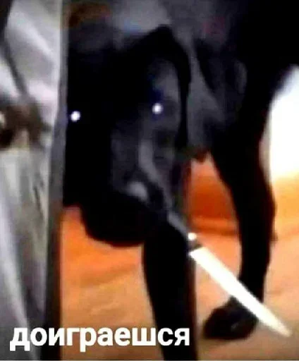 Стикер Yerdna - 1