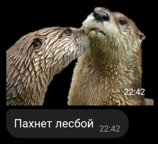 Стикер Yerdna - 1