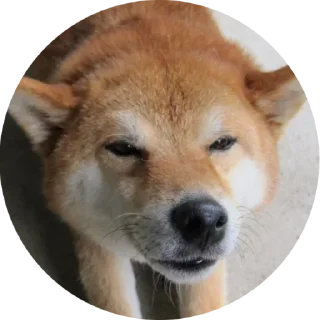 Стикер поБеда - 1