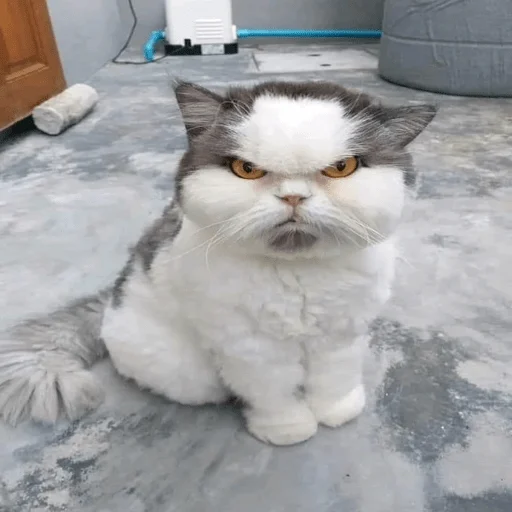 Стикер Yeschoyesto - 1