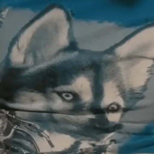 Sticker Yeschoyesto - 1