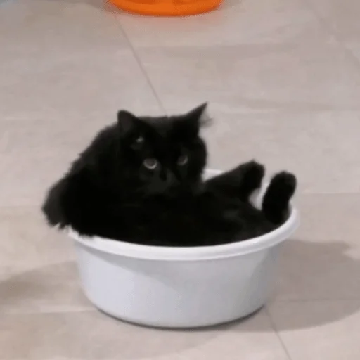 Стикер Да - 2