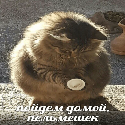 Стикер Да - 1