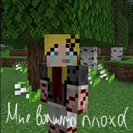 pixel screenshot minecraft