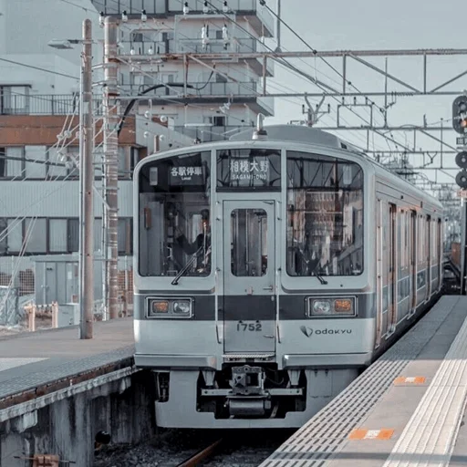 Стикер Yɪʙᴏ; @swanpack - 2