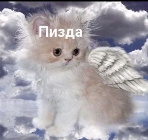 Sticker YlFPtuBXs_by_stickers_stealer_bot - 1