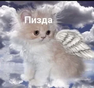 Sticker @Stickersloving - 2