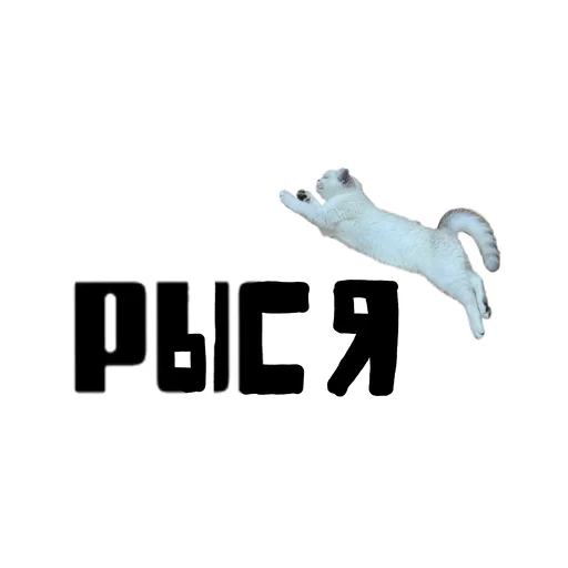 Стикер Yley_100 - 1