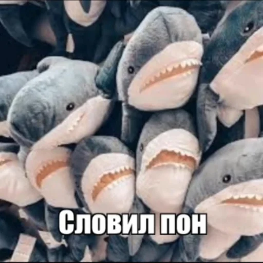 СМС животное беспозвоночный