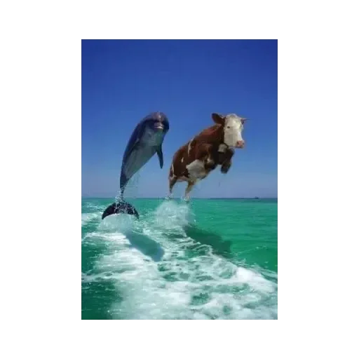 Стикер Ylwl1 - 1