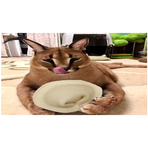 Стикер Ylwl1 - 1