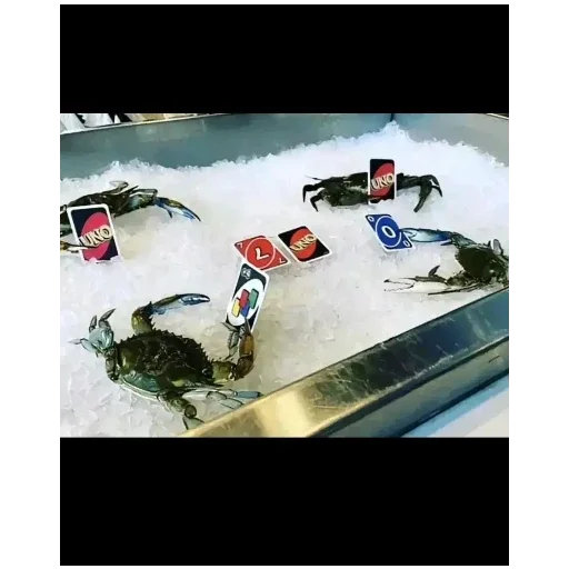 Стикер Ylwl1 - 1