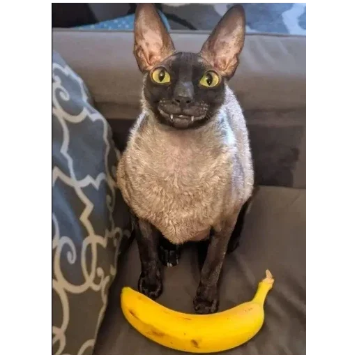 Стикер Ylwl1 - 1