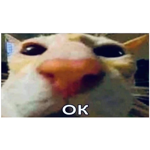 Стикер Ylwl1 - 1