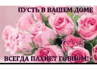 Стикер ёбаный рот этого казино - 7